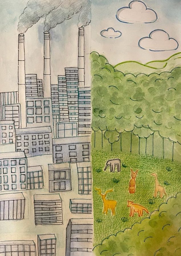 City and Forest