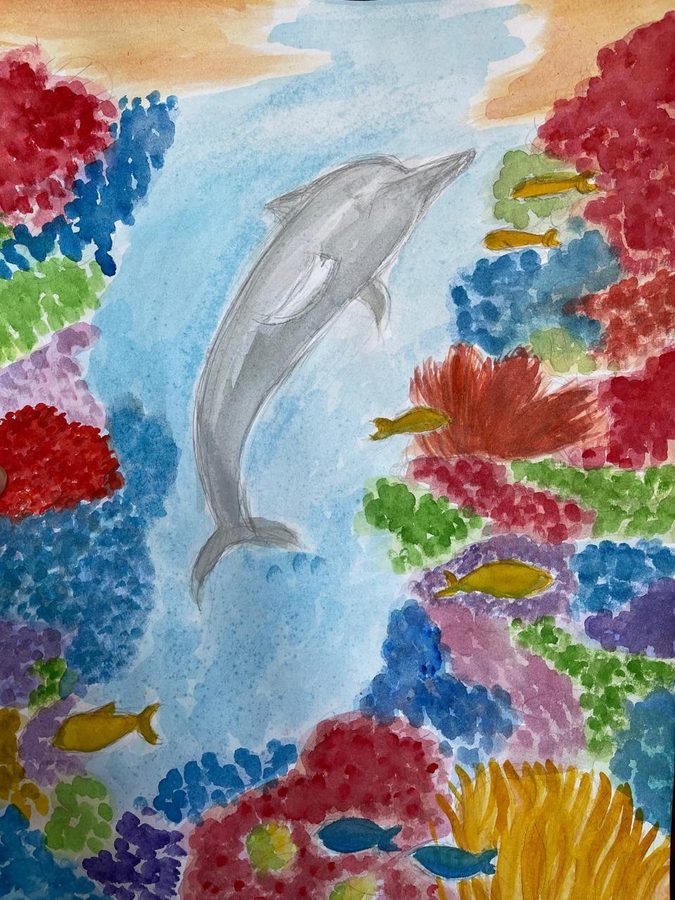 Delphin